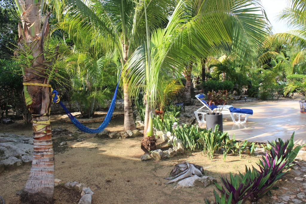 Casa De Las Tortugas I Tour Akumal Bagian luar foto