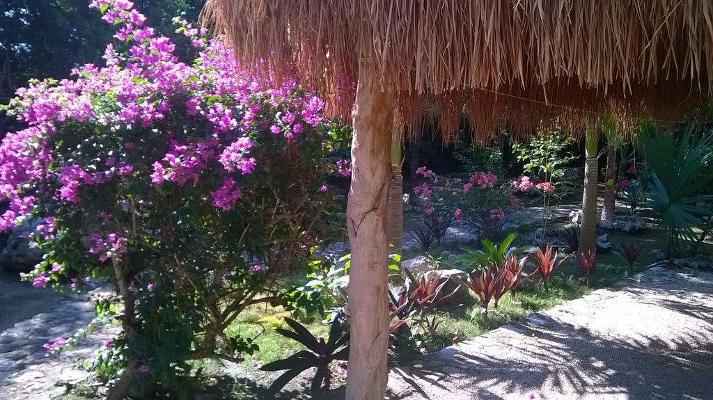 Casa De Las Tortugas I Tour Akumal Bagian luar foto