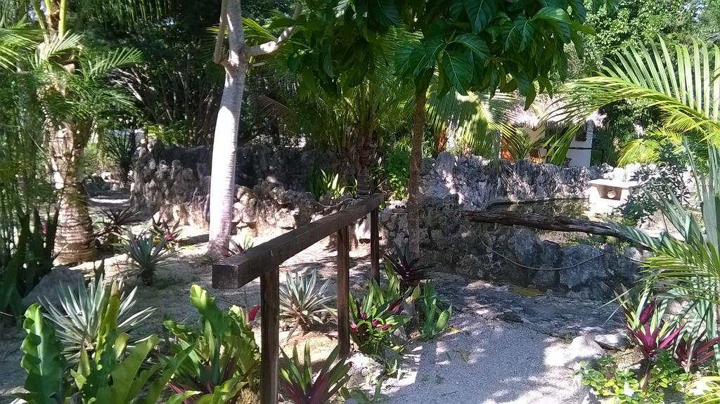 Casa De Las Tortugas I Tour Akumal Bagian luar foto