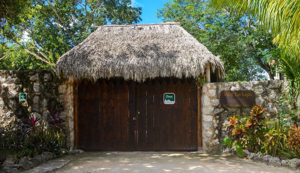 Casa De Las Tortugas I Tour Akumal Bagian luar foto