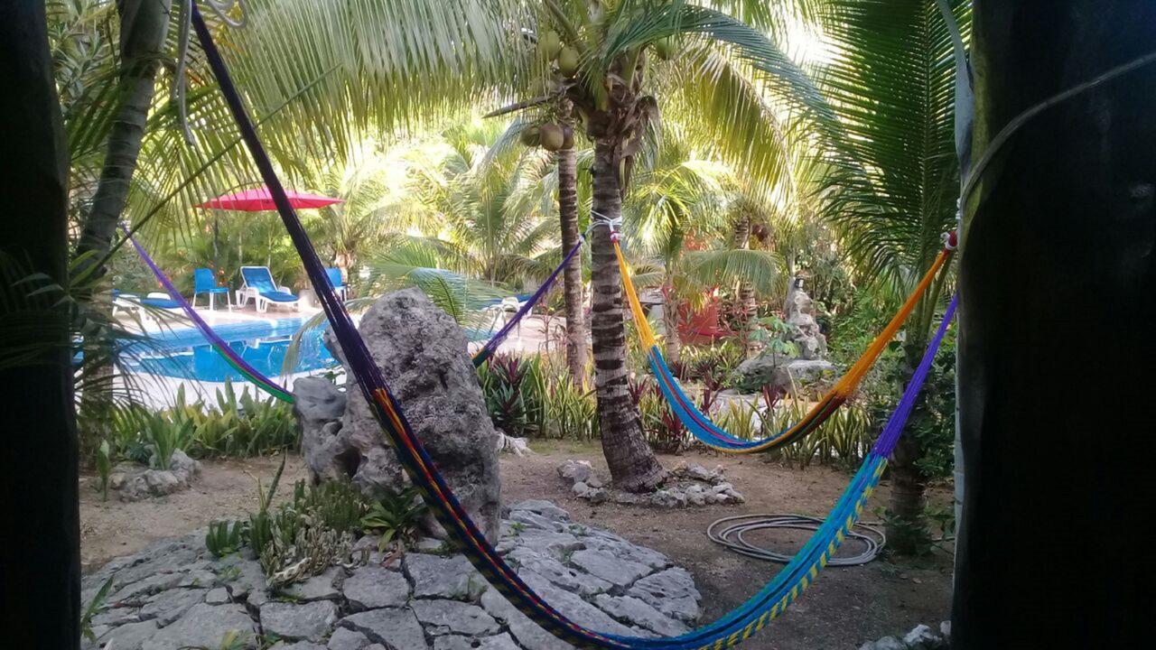 Casa De Las Tortugas I Tour Akumal Bagian luar foto